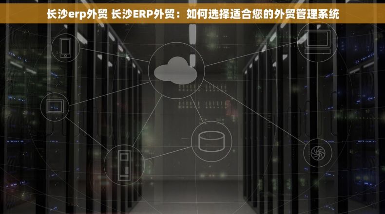 长沙erp外贸 长沙ERP外贸：如何选择适合您的外贸管理系统
