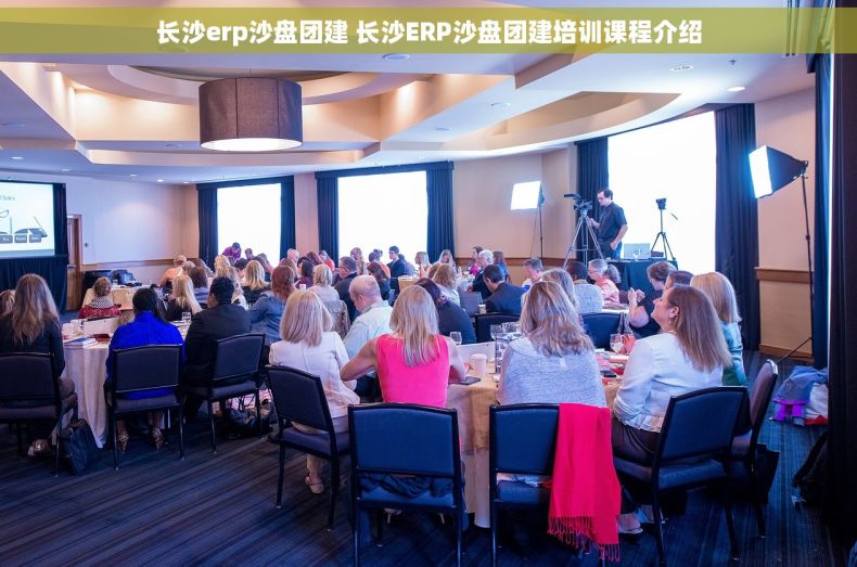 长沙erp沙盘团建 长沙ERP沙盘团建培训课程介绍