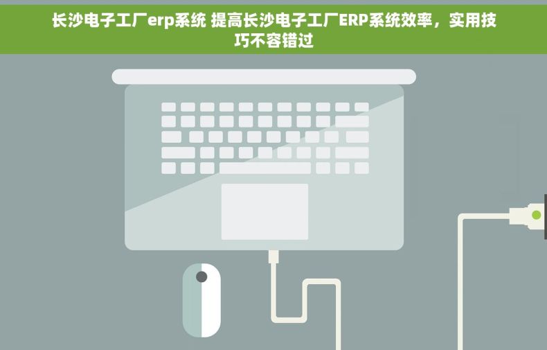长沙电子工厂erp系统 提高长沙电子工厂ERP系统效率，实用技巧不容错过