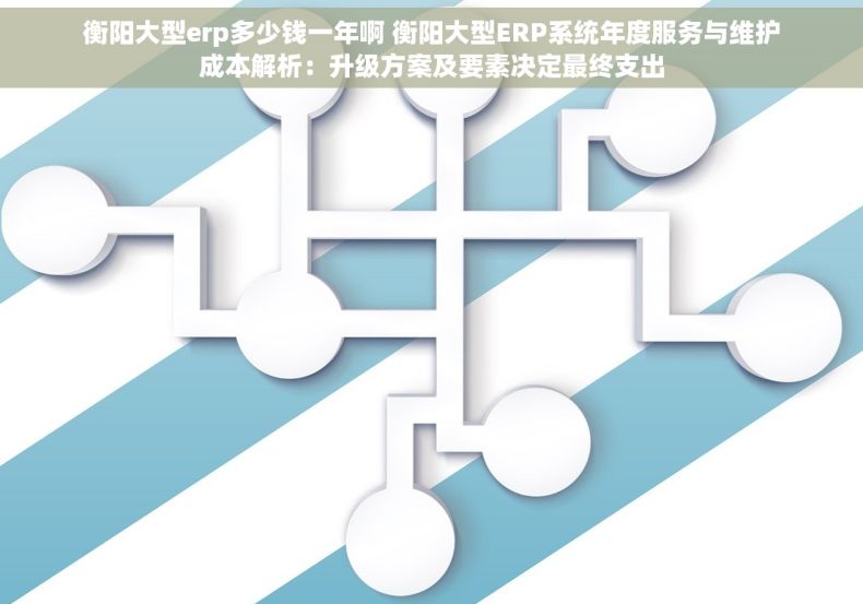 衡阳大型erp多少钱一年啊 衡阳大型ERP系统年度服务与维护成本解析：升级方案及要素决定最终支出