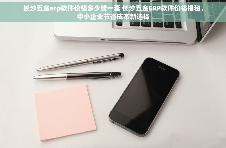 长沙五金erp软件价格多少钱一套 长沙五金ERP软件价格揭秘，中小企业节省成本新选择