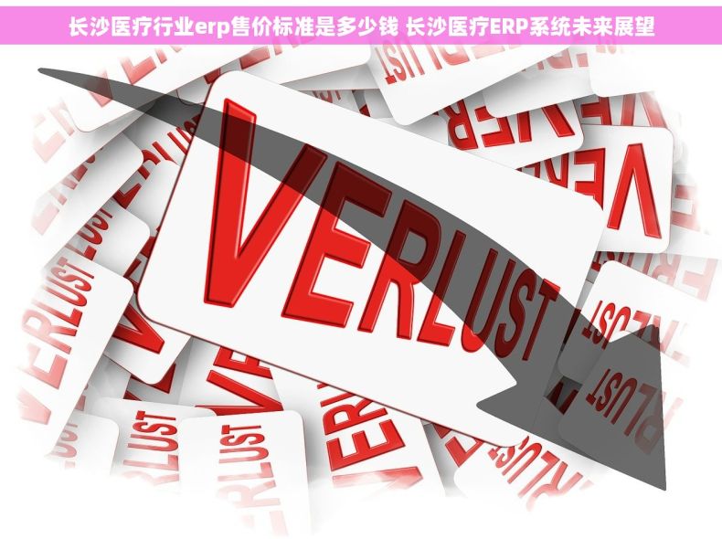 长沙医疗行业erp售价标准是多少钱 长沙医疗ERP系统未来展望