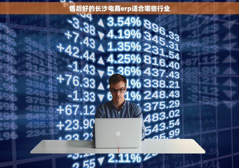 售后好的长沙电商erp适合哪些行业