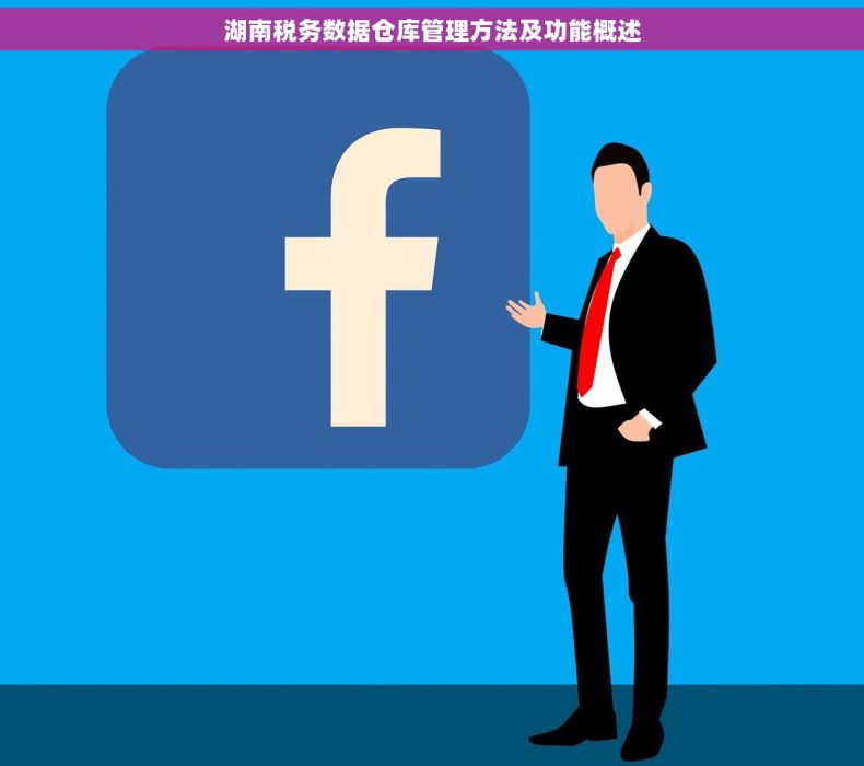 湖南税务数据仓库管理方法及功能概述