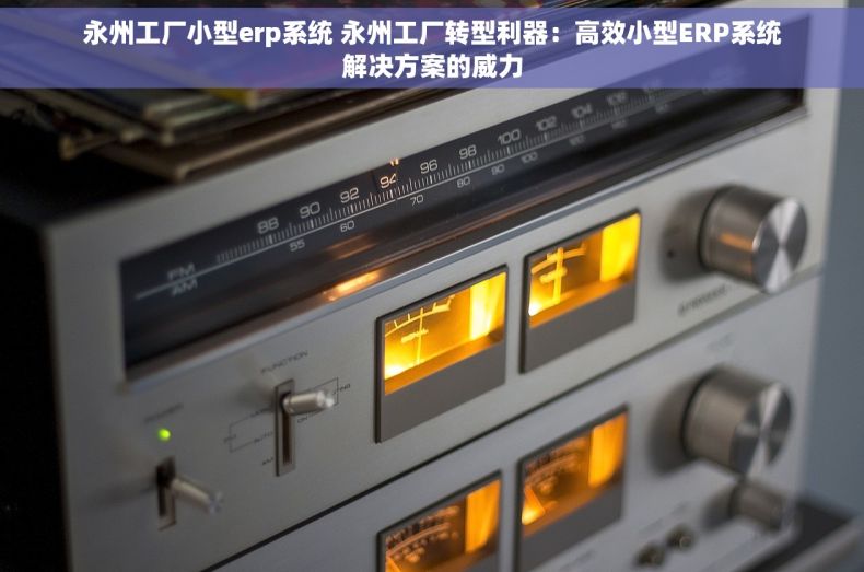 永州工厂小型erp系统 永州工厂转型利器：高效小型ERP系统解决方案的威力