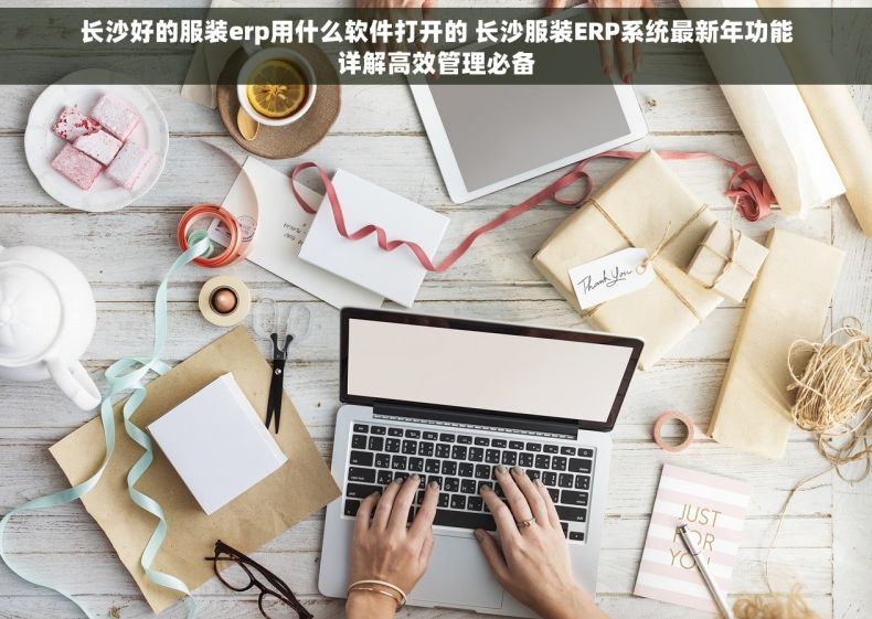 长沙好的服装erp用什么软件打开的 长沙服装ERP系统最新年功能详解高效管理必备