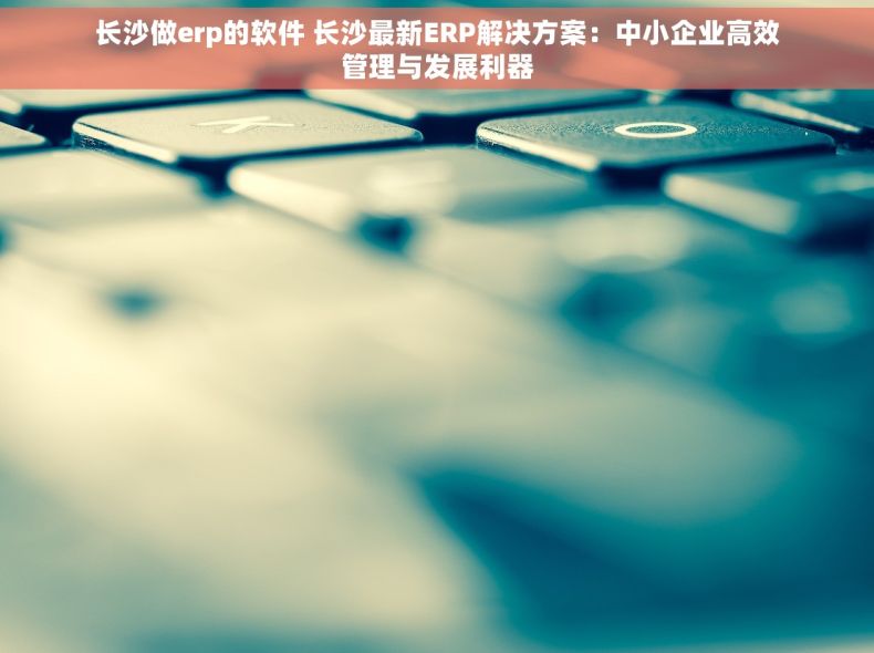 长沙做erp的软件 长沙最新ERP解决方案：中小企业高效管理与发展利器