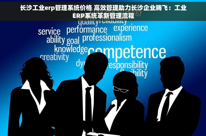 长沙工业erp管理系统价格 高效管理助力长沙企业腾飞：工业ERP系统革新管理流程