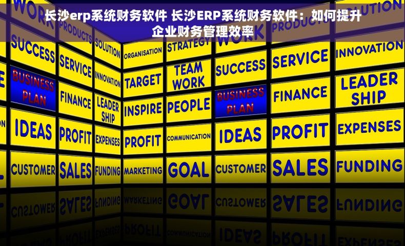 长沙erp系统财务软件 长沙ERP系统财务软件：如何提升企业财务管理效率