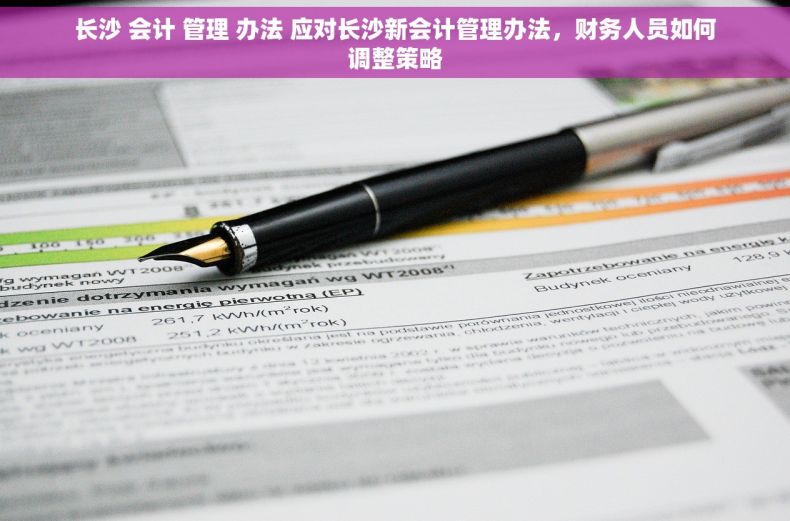长沙 会计 管理 办法 应对长沙新会计管理办法，财务人员如何调整策略