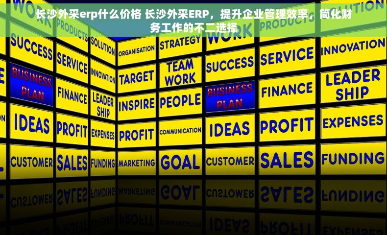 长沙外采erp什么价格 长沙外采ERP，提升企业管理效率，简化财务工作的不二选择