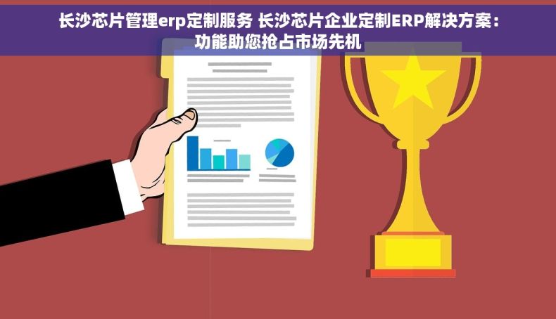 长沙芯片管理erp定制服务 长沙芯片企业定制ERP解决方案：功能助您抢占市场先机