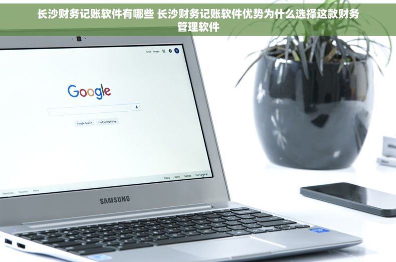 长沙财务记账软件有哪些 长沙财务记账软件优势为什么选择这款财务管理软件