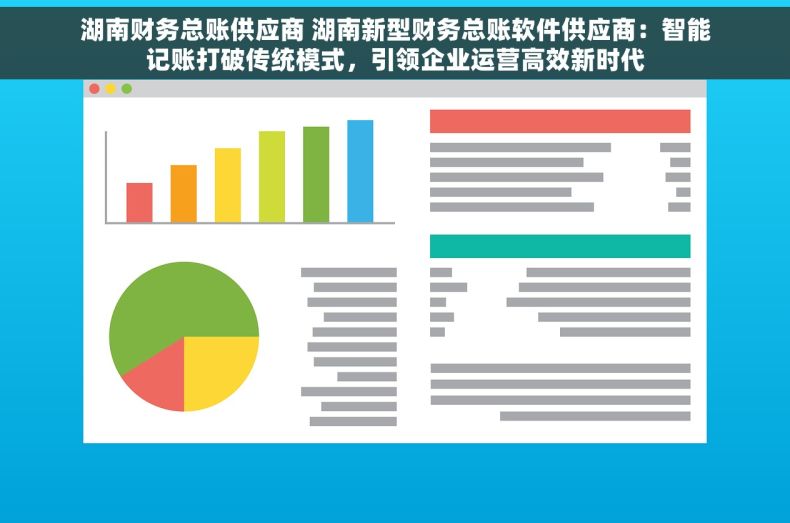 湖南财务总账供应商 湖南新型财务总账软件供应商：智能记账打破传统模式，引领企业运营高效新时代