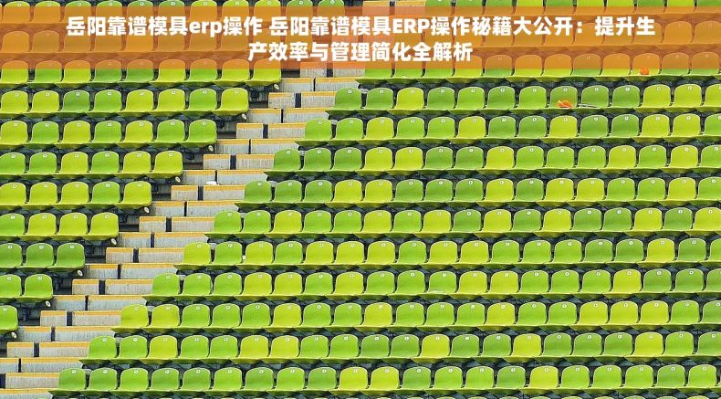 岳阳靠谱模具erp操作 岳阳靠谱模具ERP操作秘籍大公开：提升生产效率与管理简化全解析