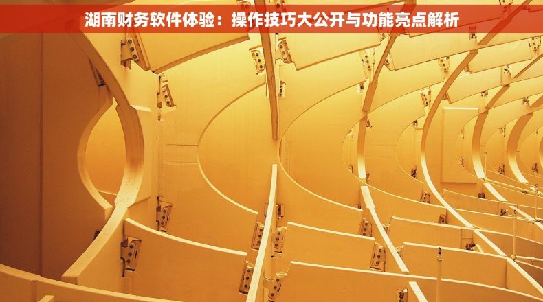 湖南财务软件体验：操作技巧大公开与功能亮点解析