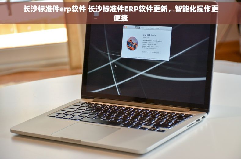 长沙标准件erp软件 长沙标准件ERP软件更新，智能化操作更便捷