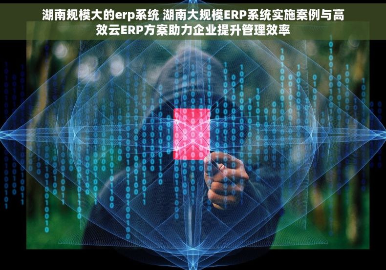 湖南规模大的erp系统 湖南大规模ERP系统实施案例与高效云ERP方案助力企业提升管理效率