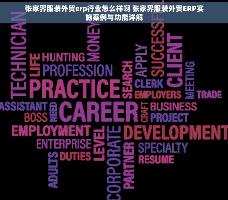 张家界服装外贸erp行业怎么样啊 张家界服装外贸ERP实施案例与功能详解