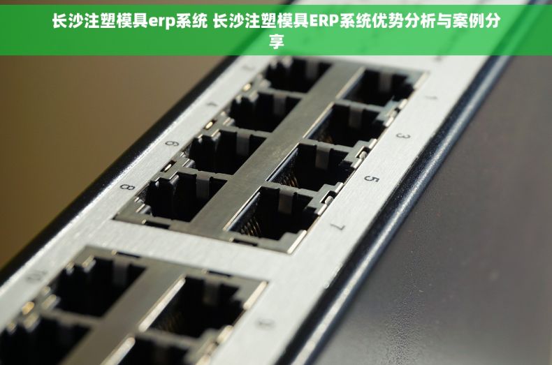 长沙注塑模具erp系统 长沙注塑模具ERP系统优势分析与案例分享