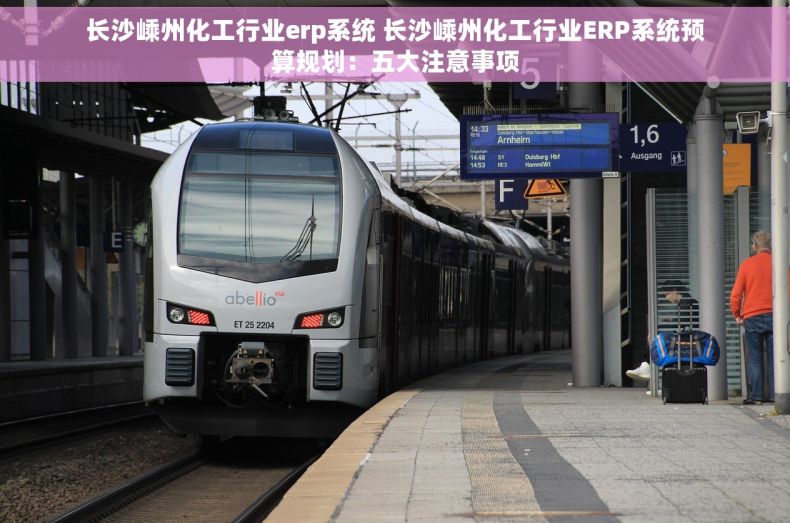 长沙嵊州化工行业erp系统 长沙嵊州化工行业ERP系统预算规划：五大注意事项