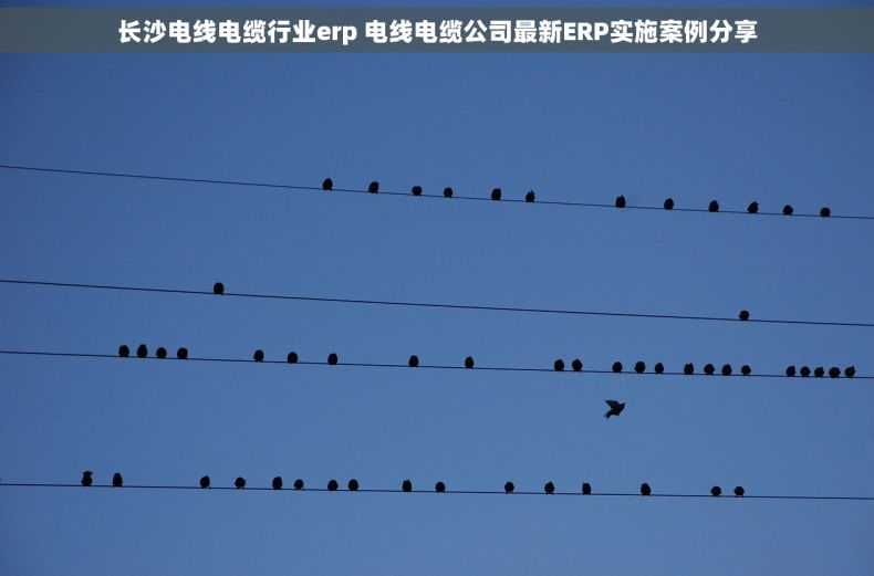 长沙电线电缆行业erp 电线电缆公司最新ERP实施案例分享