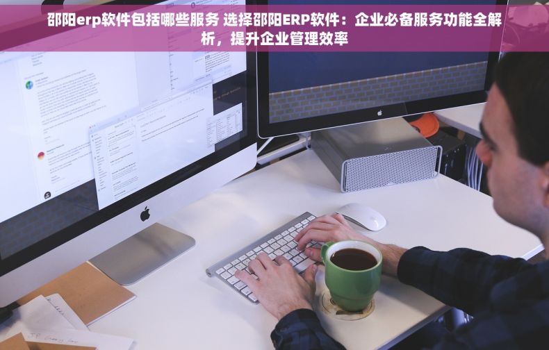 邵阳erp软件包括哪些服务 选择邵阳ERP软件：企业必备服务功能全解析，提升企业管理效率
