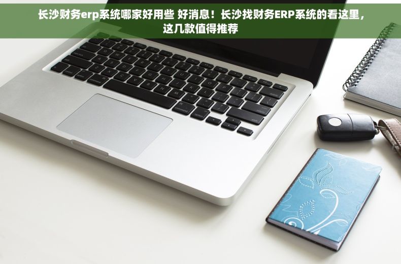 长沙财务erp系统哪家好用些 好消息！长沙找财务ERP系统的看这里，这几款值得推荐