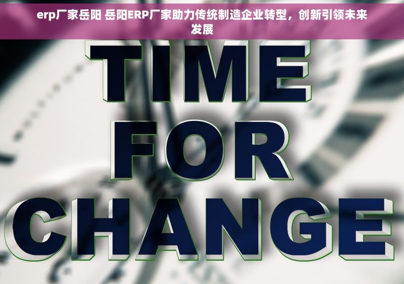 erp厂家岳阳 岳阳ERP厂家助力传统制造企业转型，创新引领未来发展