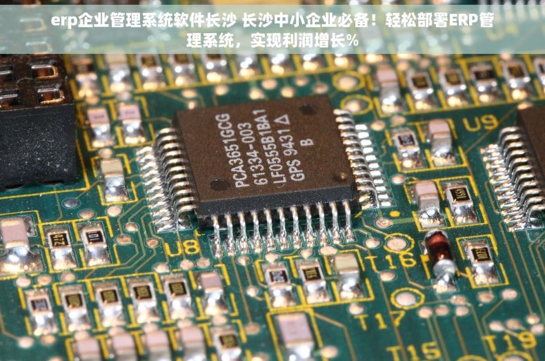 erp企业管理系统软件长沙 长沙中小企业必备！轻松部署ERP管理系统，实现利润增长%