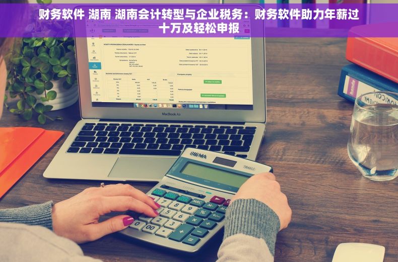 财务软件 湖南 湖南会计转型与企业税务：财务软件助力年薪过十万及轻松申报