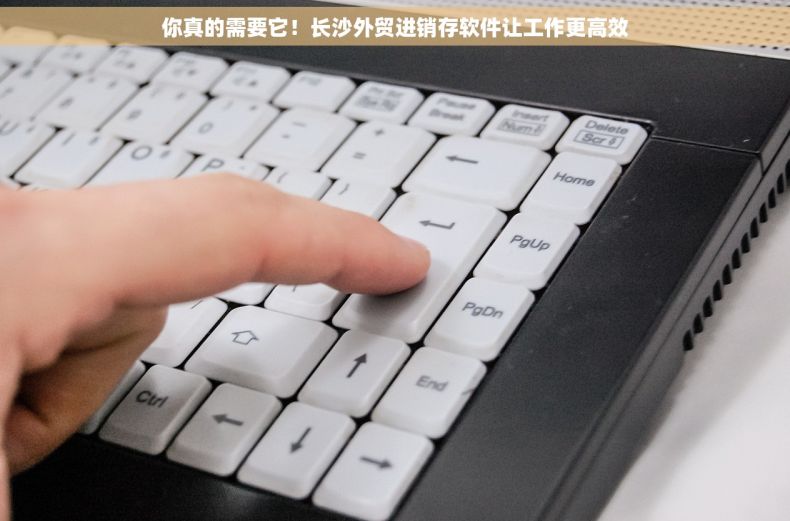 你真的需要它！长沙外贸进销存软件让工作更高效