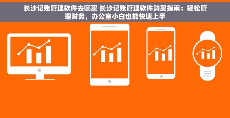 长沙记账管理软件去哪买 长沙记账管理软件购买指南：轻松管理财务，办公室小白也能快速上手