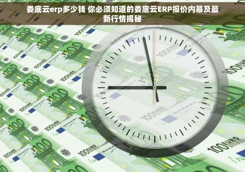 娄底云erp多少钱 你必须知道的娄底云ERP报价内幕及最新行情揭秘