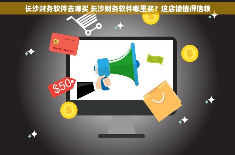 长沙财务软件去哪买 长沙财务软件哪里买？这店铺值得信赖