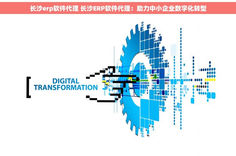 长沙erp软件代理 长沙ERP软件代理：助力中小企业数字化转型