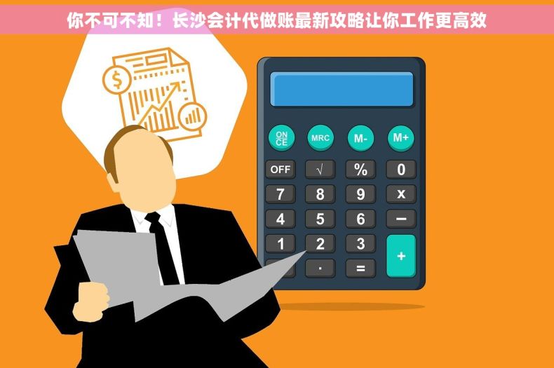 你不可不知！长沙会计代做账最新攻略让你工作更高效