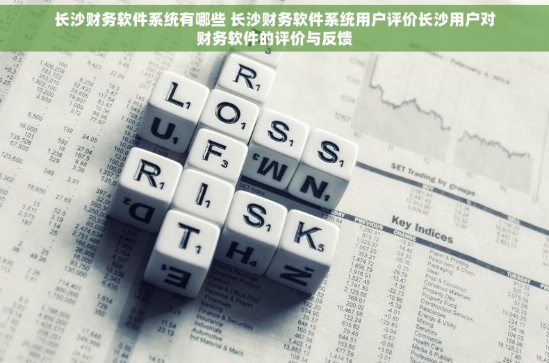 长沙财务软件系统有哪些 长沙财务软件系统用户评价长沙用户对财务软件的评价与反馈