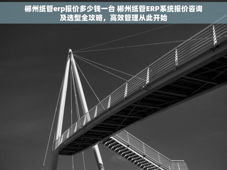郴州纸管erp报价多少钱一台 郴州纸管ERP系统报价咨询及选型全攻略，高效管理从此开始