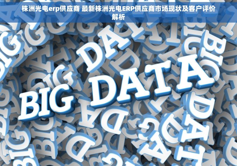 株洲光电erp供应商 最新株洲光电ERP供应商市场现状及客户评价解析
