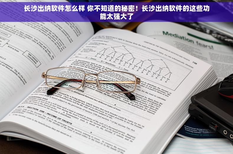 长沙出纳软件怎么样 你不知道的秘密！长沙出纳软件的这些功能太强大了