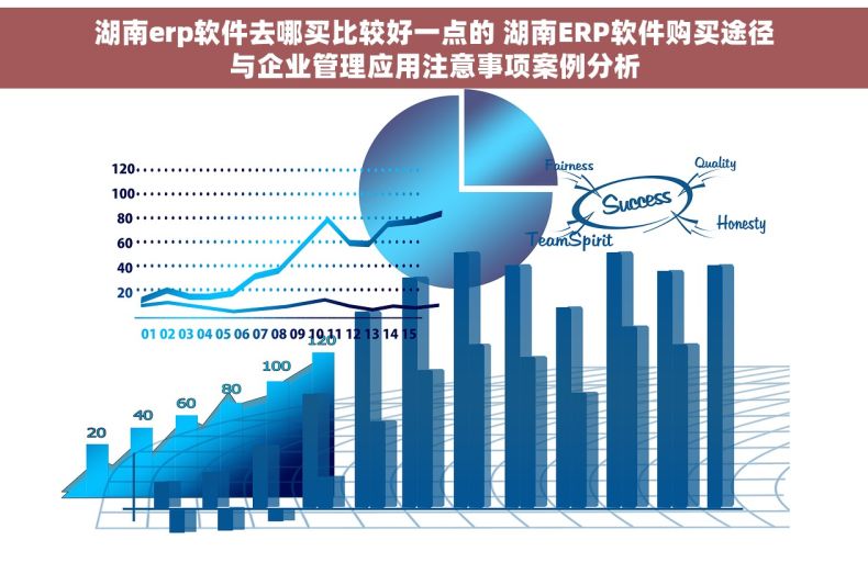湖南erp软件去哪买比较好一点的 湖南ERP软件购买途径与企业管理应用注意事项案例分析