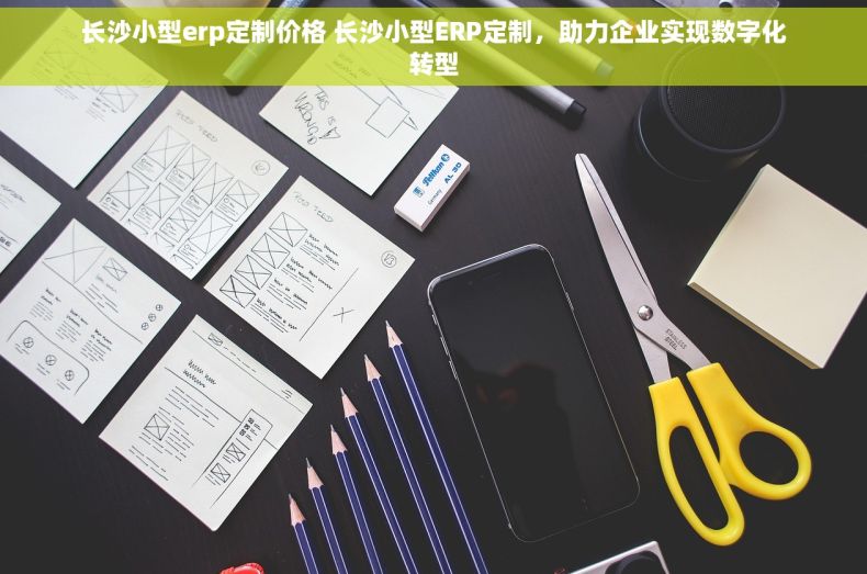 长沙小型erp定制价格 长沙小型ERP定制，助力企业实现数字化转型