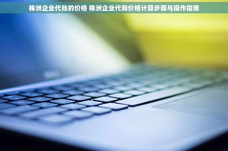 株洲企业代账的价格 株洲企业代账价格计算步骤与操作指南