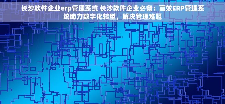 长沙软件企业erp管理系统 长沙软件企业必备：高效ERP管理系统助力数字化转型，解决管理难题