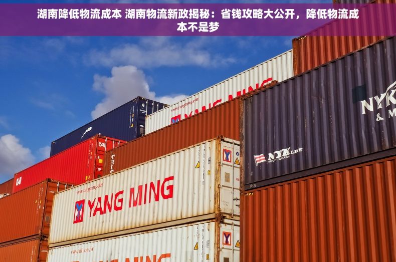 湖南降低物流成本 湖南物流新政揭秘：省钱攻略大公开，降低物流成本不是梦