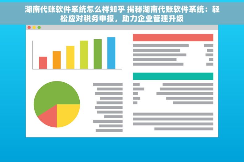 湖南代账软件系统怎么样知乎 揭秘湖南代账软件系统：轻松应对税务申报，助力企业管理升级