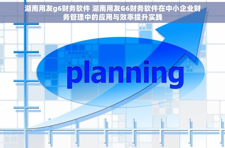 湖南用友g6财务软件 湖南用友G6财务软件在中小企业财务管理中的应用与效率提升实践