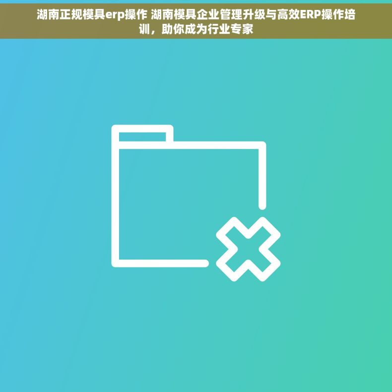 湖南正规模具erp操作 湖南模具企业管理升级与高效ERP操作培训，助你成为行业专家