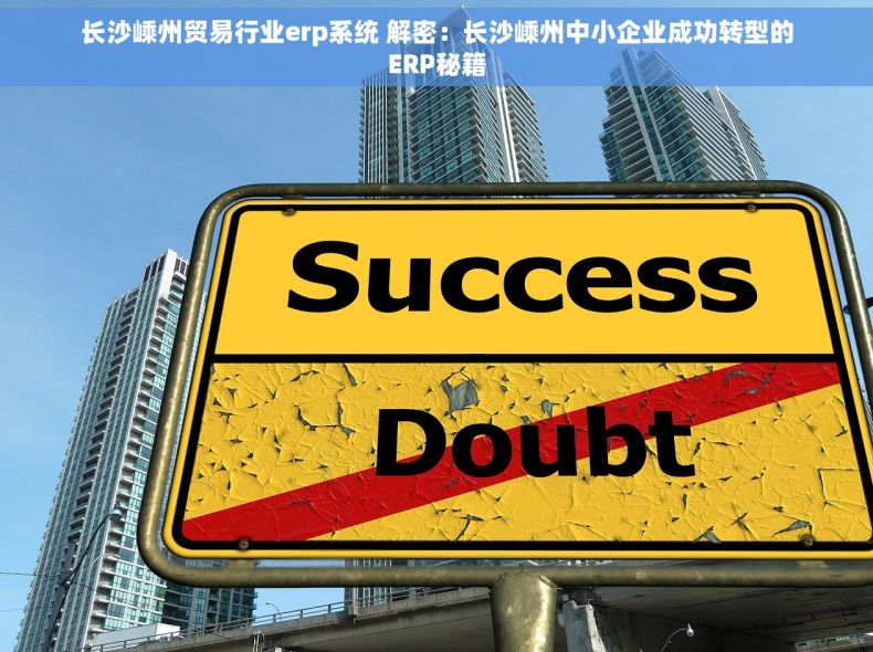 长沙嵊州贸易行业erp系统 解密：长沙嵊州中小企业成功转型的ERP秘籍